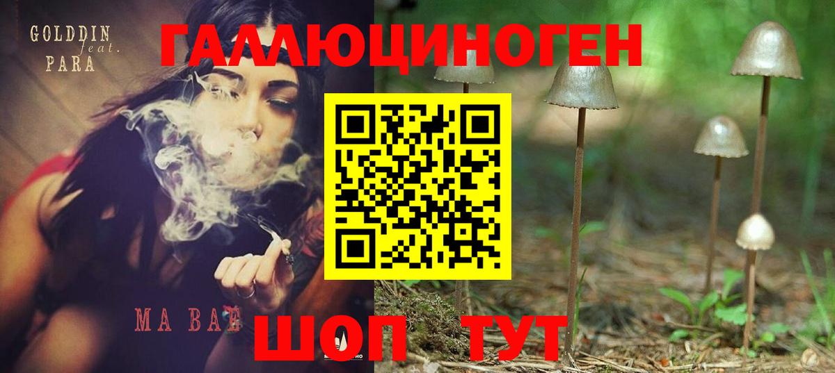 Бор  Псилоцибиновые грибы мухоморы  что такое наркотик  Вход с VPN 